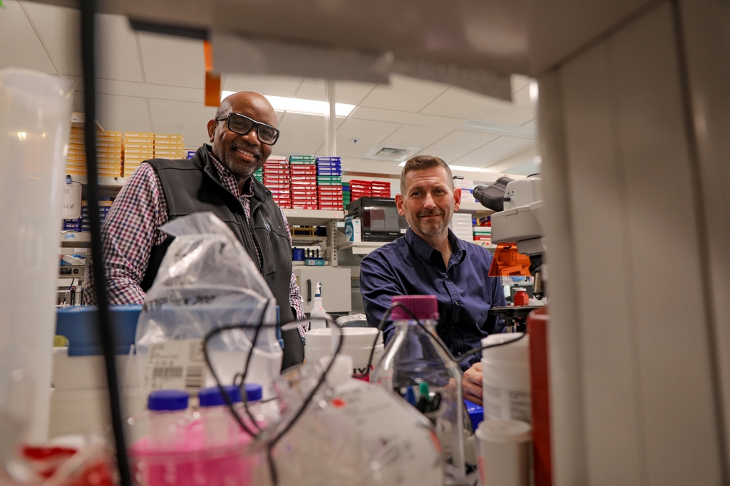 Investigacin sobre la relacin intestino-cerebro en el contexto del VIH en OHSU 1