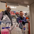 Investigadores de OHSU exploran el vínculo entre intestinos, salud cerebral para personas con VIH