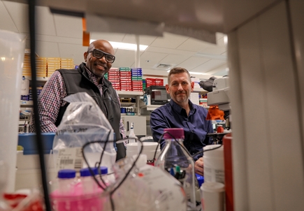 Investigacin sobre la relacin intestino-cerebro en el contexto del VIH en OHSU 1