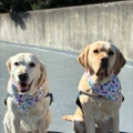 Casey and Darby 