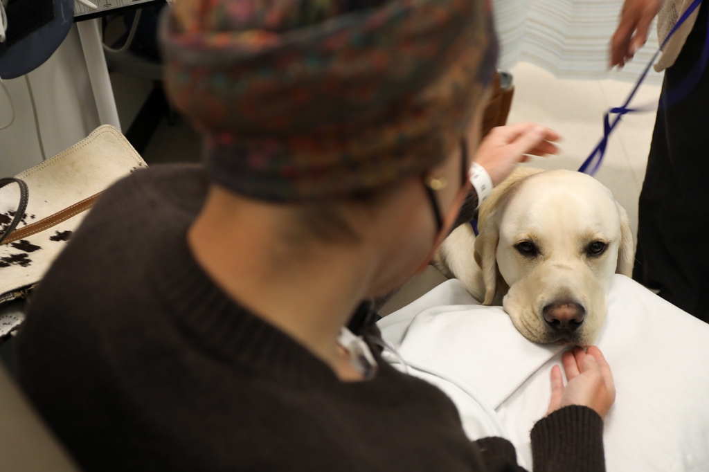 'Doc' the assistance dog at OHSU Knight Cancer Institute cuddles with a patient at OHSU in Portland, Oregon.