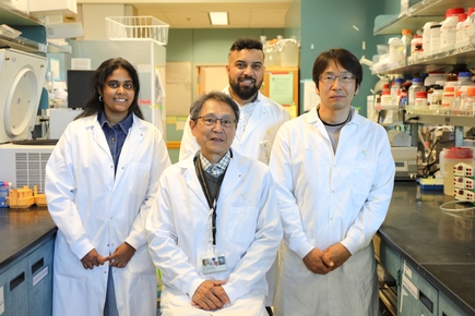 Nakai Lab 