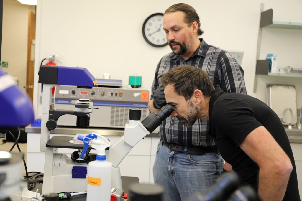 Colaboración en investigación sobre ubiquitina en OHSU