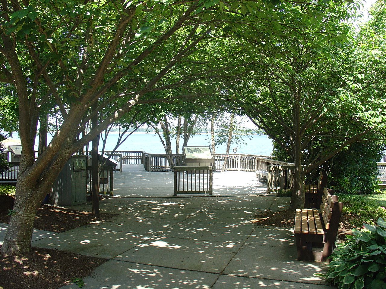 EE Back Deck