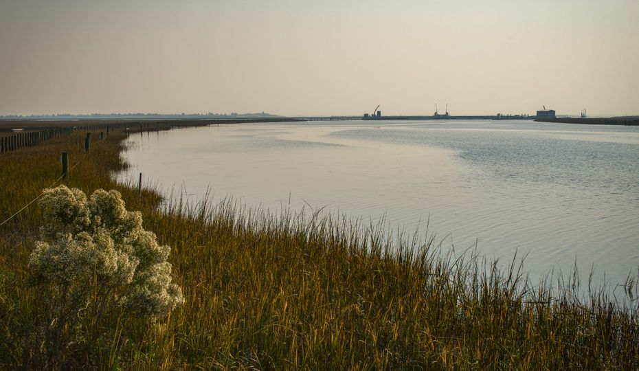 Waterway next to Brunswick Nuclear Plant