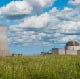 harris-nuclear-plant-2020 for NIC