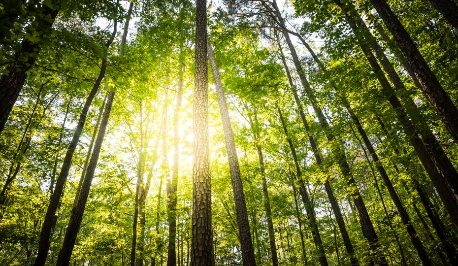 Seven climate definitions that will impress your friends