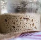 sourdough