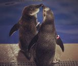 Testing Image upload