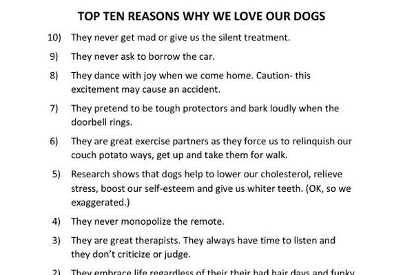 TOP TEN REASONS WHY WE LOVE OUR DOGS