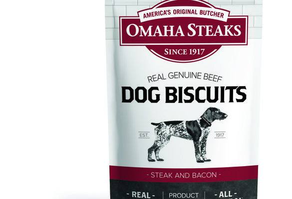 dt001 original beef dog biscuits