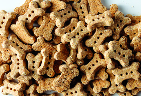 dt010 original beef dog biscuits
