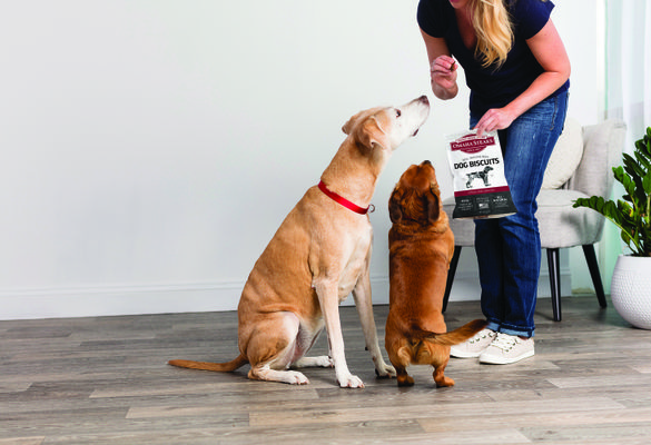 Omaha Steaks Salutes Man's Best Friend with $1 Dog Treat Day - September 25