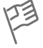 American flag icon