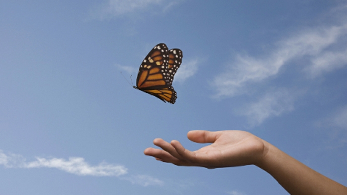 A753~LettingGoCropjpg