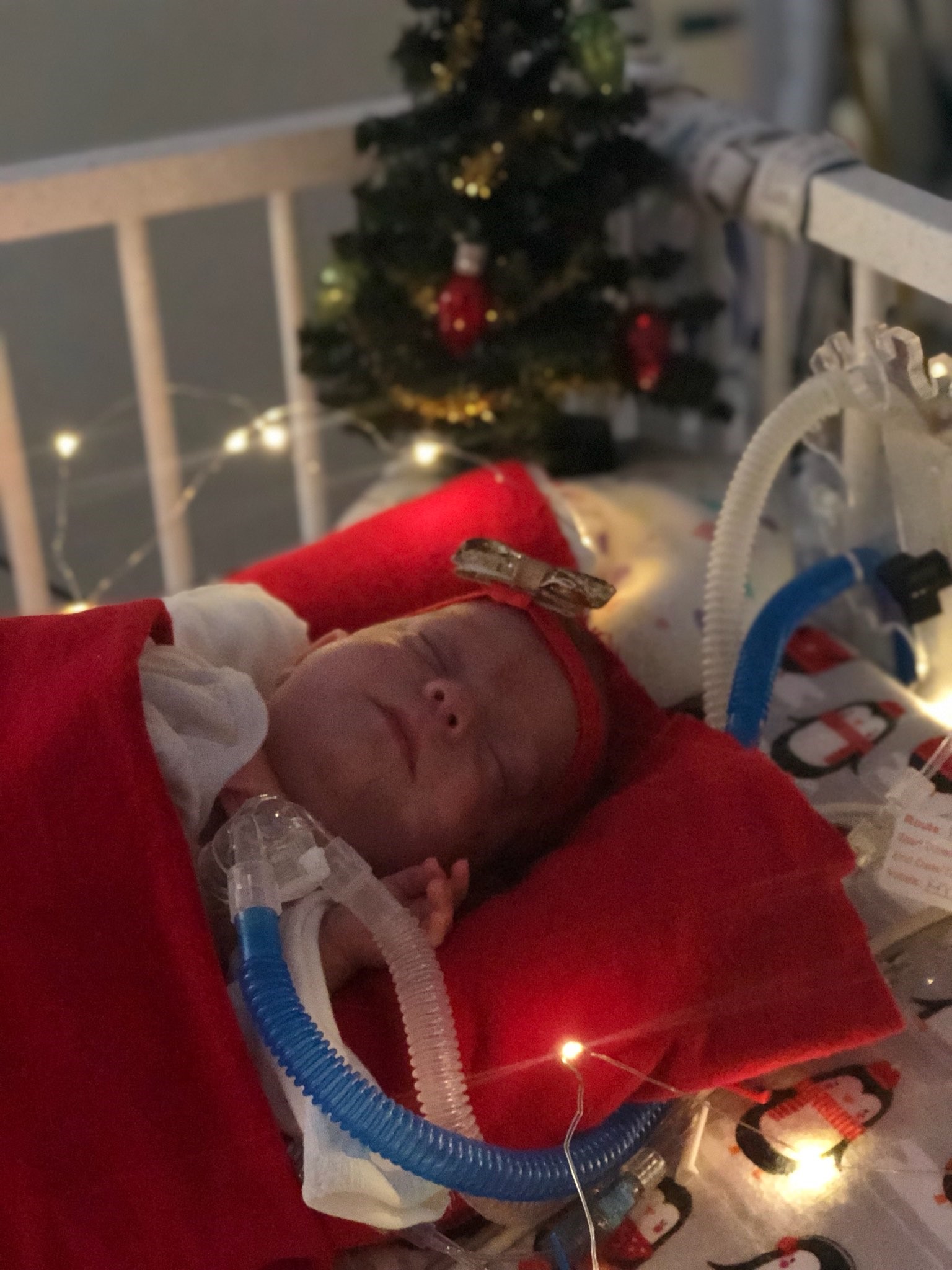  Everly Allyson Crandall