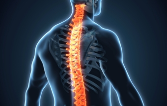 thoracic-spine-myelopathy