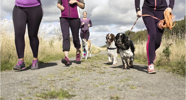 The bathroom scale is not your fitness guide