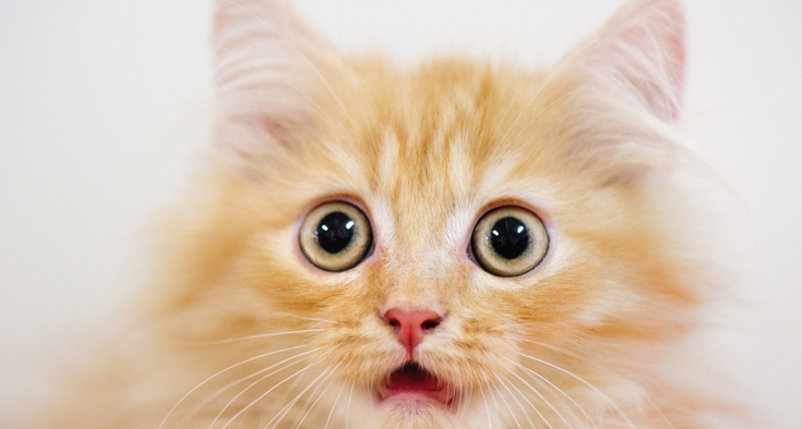 How to handle 3 dreaded conversations: Money, relationships, boundaries