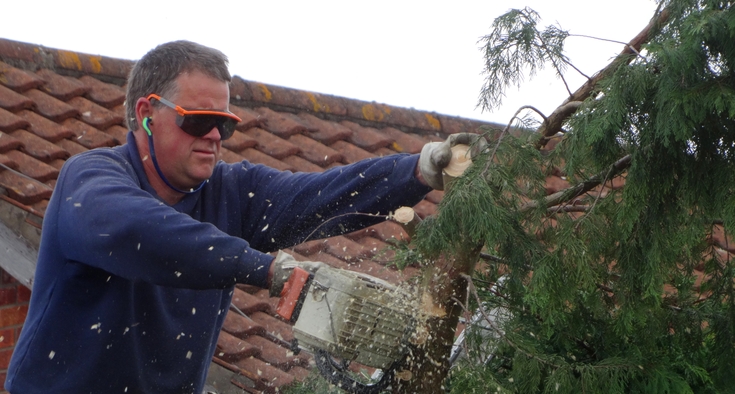 Image of tree-surgeon pruning tall Leylandii conifer hedge with chainsaw