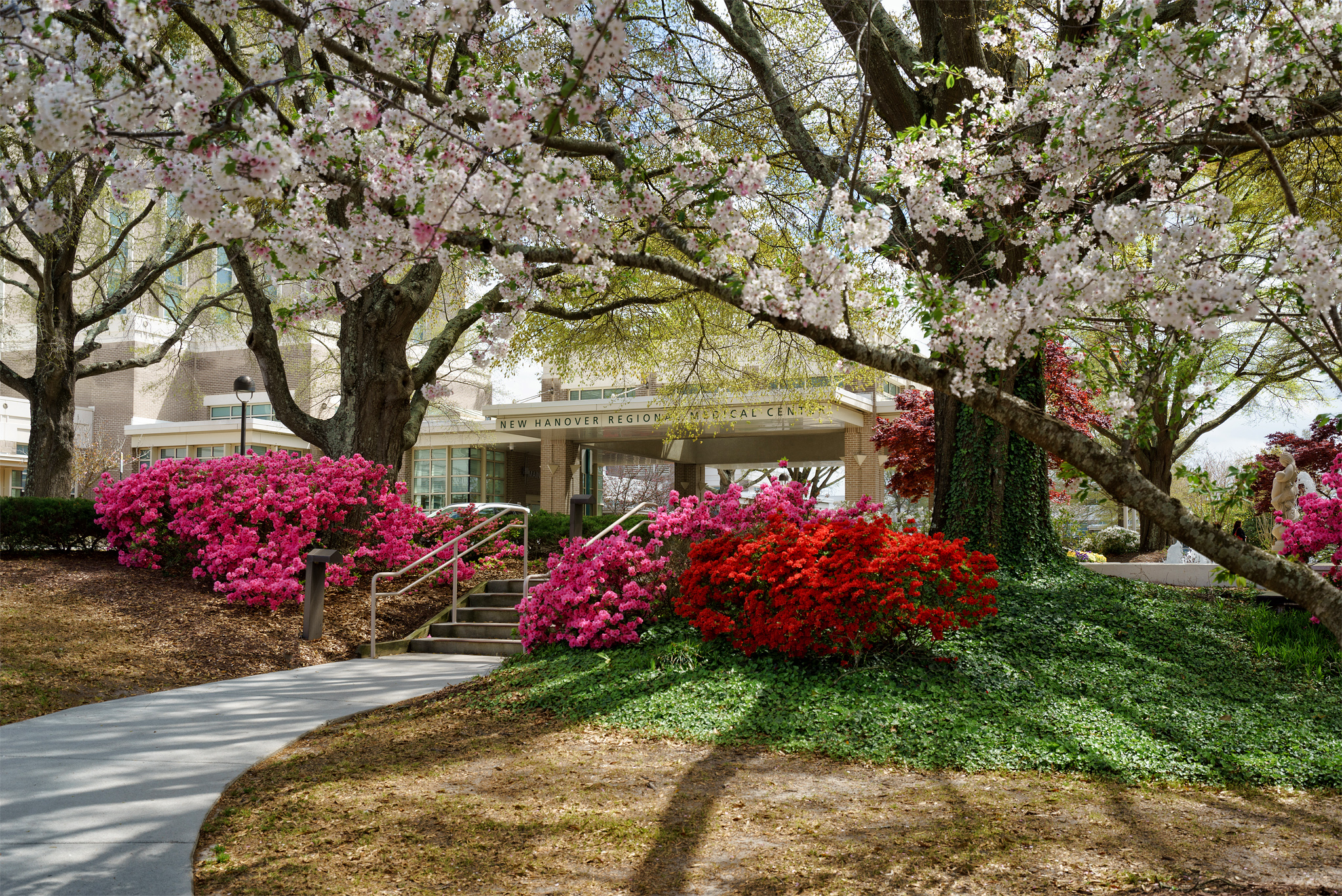 New Hanover Regional Medical Center