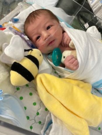 connor loomis in hospital