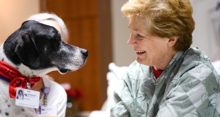 Want to help? Novant Health needs volunteers.