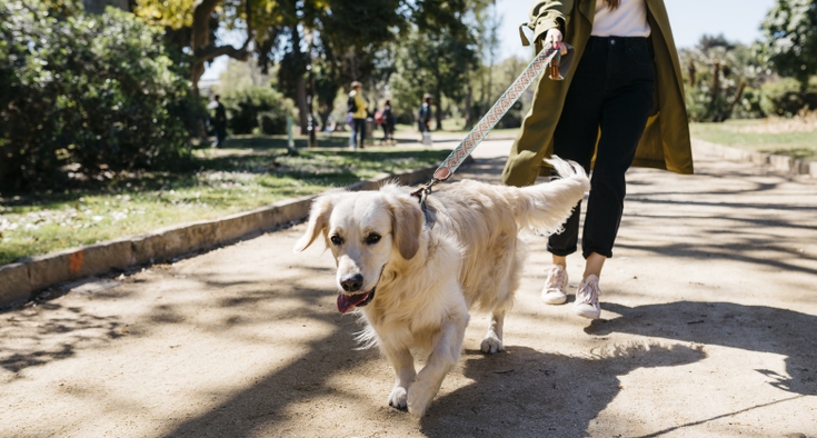 GettyImages-1157188940