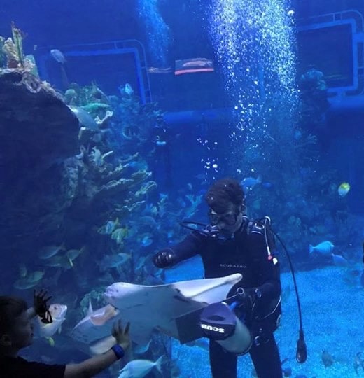 Chad Spicer water shot feeding a shovel nose guitarfish.  