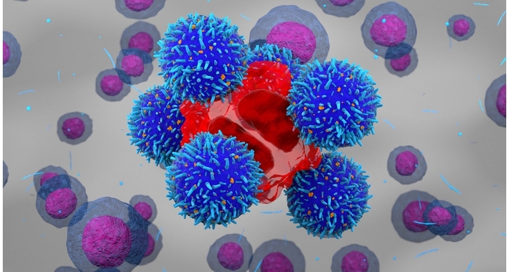 GettyImages-1786370008_hero Cellular