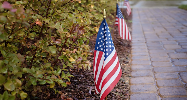 Treating patients and training leaders: These globe-trotting veterans offer fresh expertise.