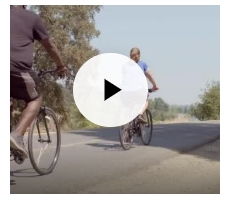 Video: It's National Diabetes Month: Watch How Blue Shield Supports Prevention and More