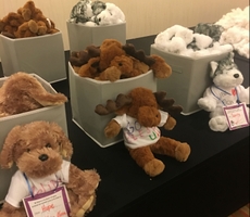 Blue Shield of California Event Leads to Donation for Los Angeles Children's Hospital