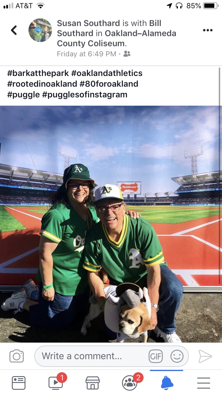 Susan Southard - As game