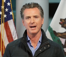 newsom