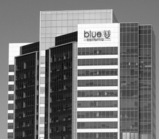 Blue Shield of California Releases its Mission Report