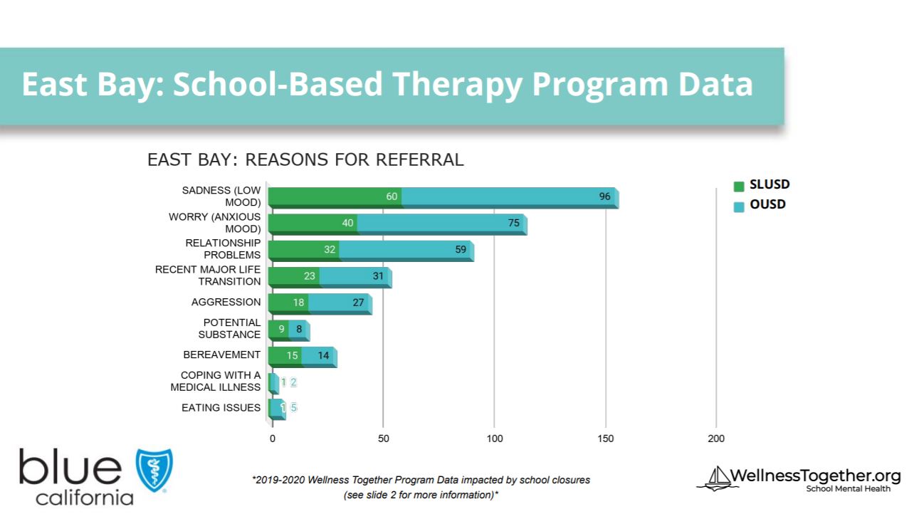 Wellness Together slide 4