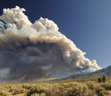 Wildfires in California: How to Get Help and Stay Healthy Amid a Pandemic