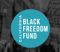 In the News: Blue Shield of California Foundation Grants $3 million to the Black Freedom Fund