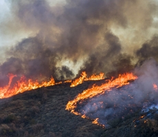 UPDATED 9/20/2022: Blue Shield of California Offers Assistance to Members Affected by Wildfires In California