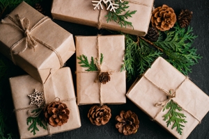 sustainable holidays image