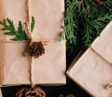 Protect Our Planet and Your Health This Holiday Season