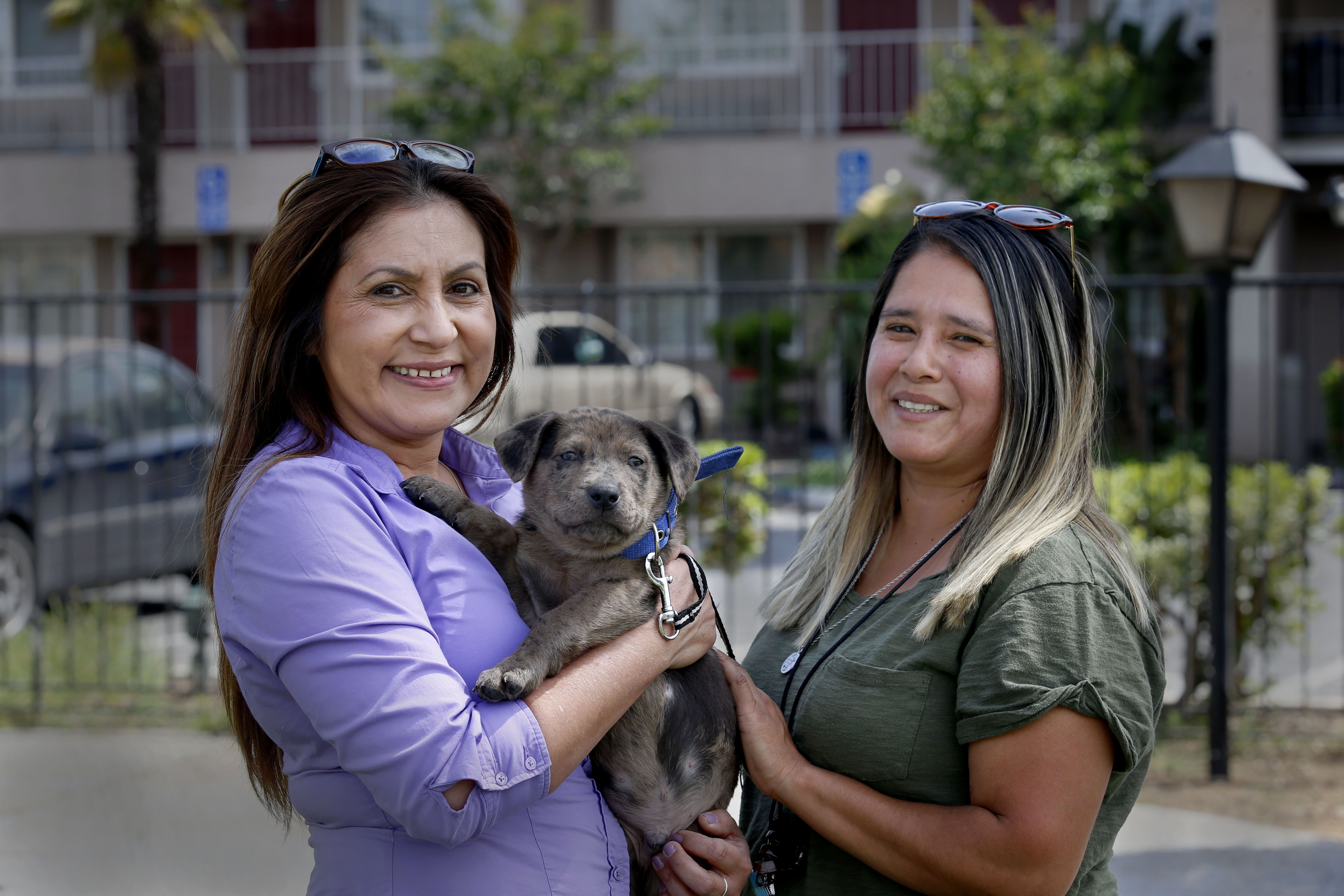 FRESNO HomekeyStaffSmiles.Puppy 4.29