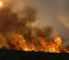 Protect Yourself by Preparing for Wildfires