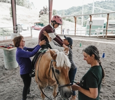 Two Words, a Set of Reins, and a Therapy Horse Transform Lives of Disabled Children and Adults 