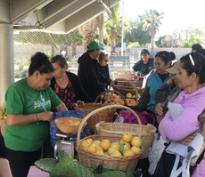 Blue Shield Investment Enables Nonprofit to Bring Free Healthy Food Program Back to Community