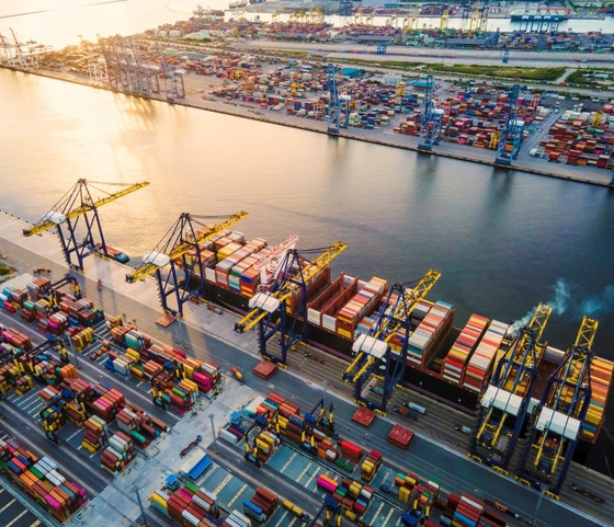 6 Tips for Companies to Navigate California’s New Carbon Emissions Laws