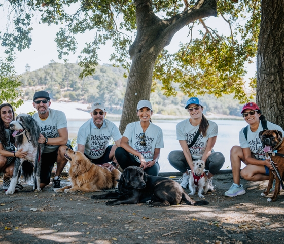 Over 400 Blue Shield Employees and Their Furry Friends Made a Difference With Nonprofit, Pet Partners