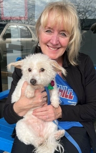 Dolly passes Pet Partners cropped