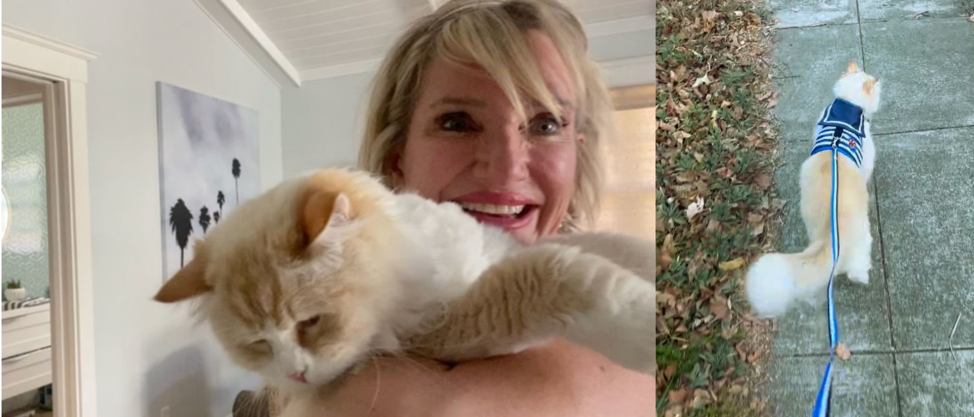 longer version Kelly Stern and her cat on leash pic together 